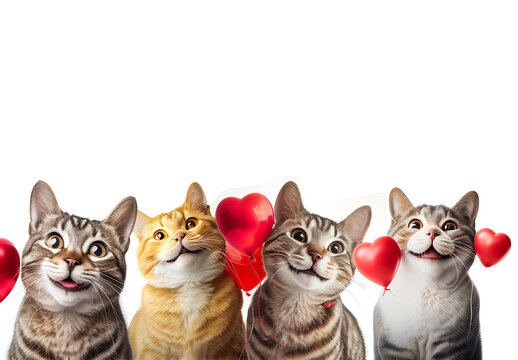 
Realistic pictures, many cats have cute love heart balloons. On a white background, easy to use. generative AI