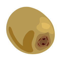Fresh kiwi on white background