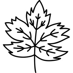 Line Art Leaf