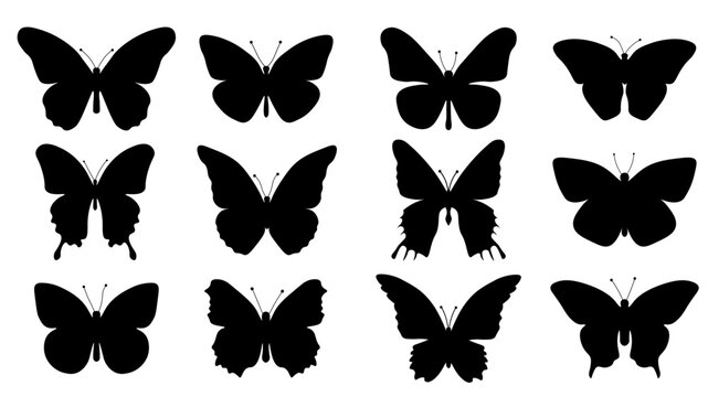 collection of butterflies set of butterflies silhouettes Flying Vector illustration	
