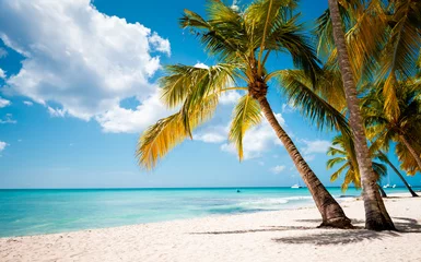 Zelfklevend Fotobehang Vacation summer holidays background wallpaper - sunny tropical Caribbean paradise beach with white sand in Seychelles Praslin island Thailand style with palms © Vasily Makarov