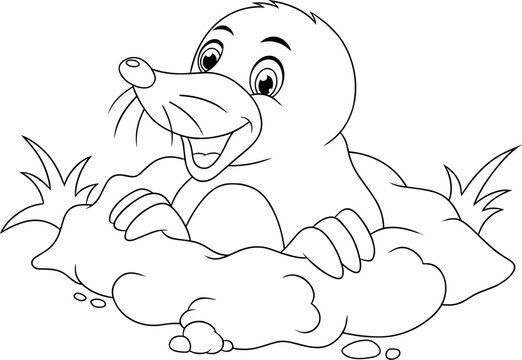 Animal coloring pages - Coloring book for kids