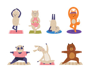 Funny Animal on Yoga Mat Practicing Asana and Stretching Vector Illustration Set