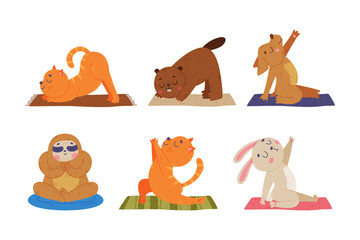 Fototapeta premium Funny Animal on Yoga Mat Practicing Asana and Stretching Vector Illustration Set