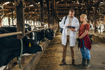 A cowgirl and a vet working together in a stable.