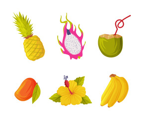 Exotic Fruit, Cocktail and Hibiscus Flower as Bali Traditional Object Vector Illustration Set