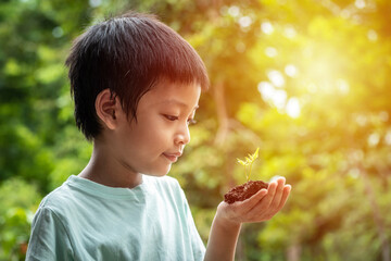 The little boy's hands are holding a small tree. Asian boy holding a seedling in his hand. The boy is smiling and stared at the small tree in his hand with natural sunlight.