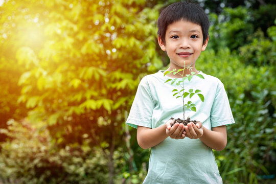 The little boy's hands are holding a small tree. Asian boy holding a seedling in his hand. The boy is smiling and staring at the camera.