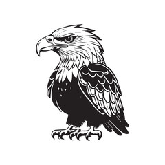 This is a Eagle Black Color Vector Silhouette.