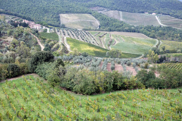 Overview of Chianti classico wineyard and countryside - Tuscany - Italy