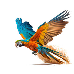 blue and yellow macaw on a transparent background, which is easy to decorate your projects.