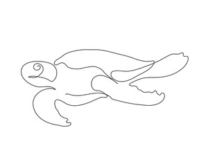 A turtle continuous line art vector. tortoise line drawing. turtle single line vector