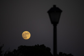 Full moon rise in Orlando, Florida