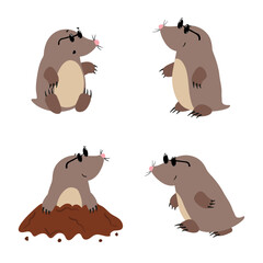 Set of cute cartoon moles. Vector illustration for kids