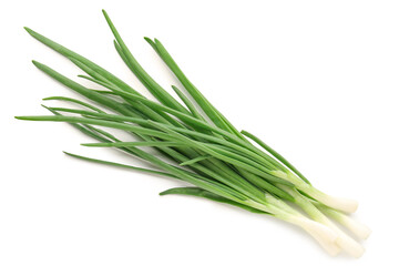 Fresh green onion on white background