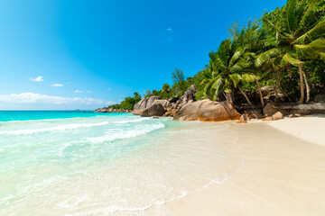 Rocks and palms by the sea in Anse Lazio beach