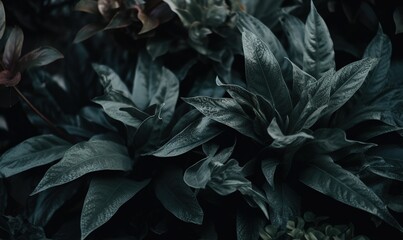  a close up of a bunch of plants with leaves on it's sides and a dark background with a few green leaves on it.  generative ai