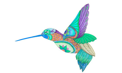 Hand painted Hummingbird illustration. Colorful design. Zentagle style. Hand drawn illustration.	