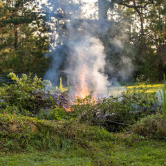 Fototapeta na wymiar Weeds and trees burning in a controlled burn on a farm.