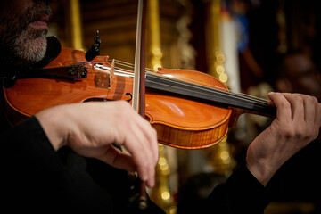 violín, cuerda, tocar, músico