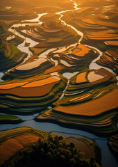 an aerial view of a rice field, generative ai 