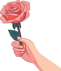 Hand holding a rose flower. Vector illustration isolated on white background