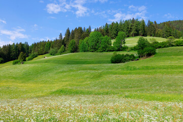Summer landscape of Vallandro mountain, Durrenstein in the Dolomites, Italy, Europe. Dolomites in summer.	