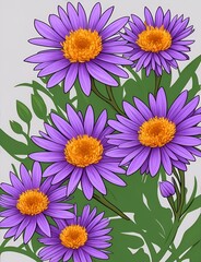 Aster Flower Generative Art