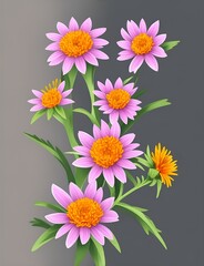 Aster Flower Generative Art