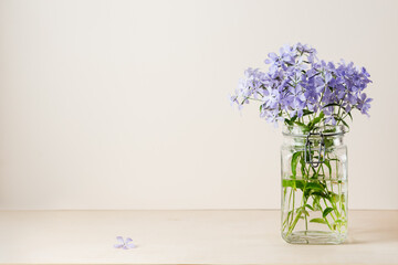 Blue phlox flowers in a jar.