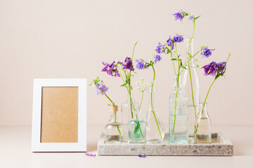 Columbine flowers in glass bottles and empty white picture frame mockup.