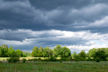 Fototapeta na wymiar stormy dark clouds over meadows