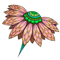 Flower illustration. Hand painted colorful design. Zentagle style	