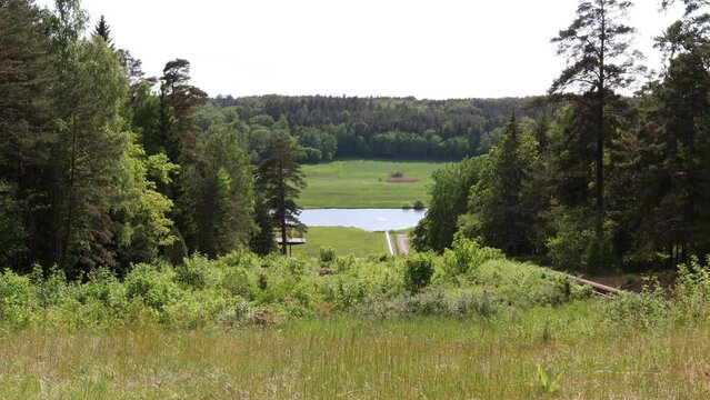 Nice summer landscape video. Green nature and trees. A small lake far away. June, Stockholm, Sweden 2023.