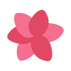 Flat style frangipani flower vector illustration