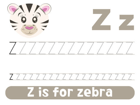 Tracing alphabet letter Z with cute zebra. Worksheet for children.