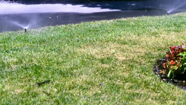 Water sprinkler is spraying water onto the flowers and grass in the park. 4K, UHD, 3840 &times; 2160