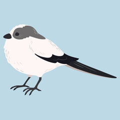 Simple and adorable flat colored Long-tailed tit illustration
