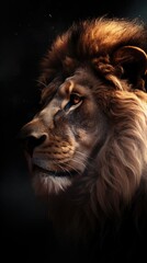 close up of a lion background wallpaper