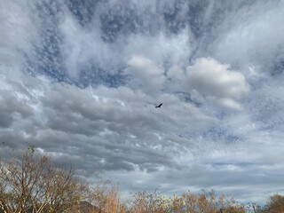 Cielo nublado 