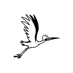 Fototapeta premium vector illustration of a bird