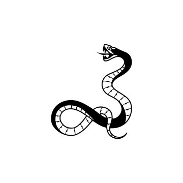 vector illustration of a black snake