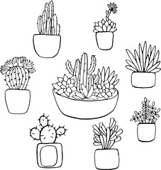 cacti and succulents linear black and white vector image for coloring