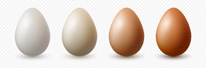 6 Six Vector 3d Realistic White, Brown Chicken Eggs in Opened Carton Paper Box, Container, Packaging. Textured Chicken Egg Set, Isolated. Vector Different Color Whole Eggs. Egg Pack in Front View