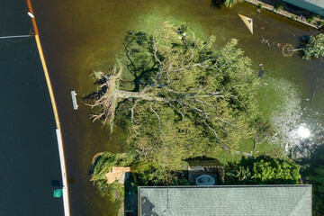 Natural disaster and its consequences. Hurricane Ian flooded house and fallen tree in Florida...