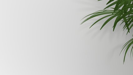 Blank clean white wallpaper wall with leaf shadow for luxury product display, interior design decoration background 3D rendering.