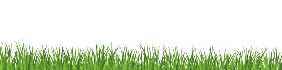 Lush grass meadow close up - 610782925