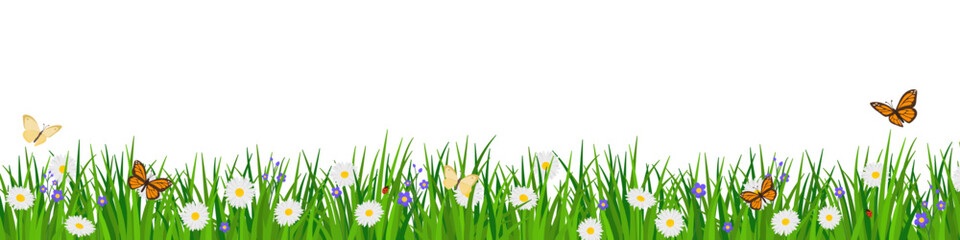 Lush grass with flowers and butterflies background