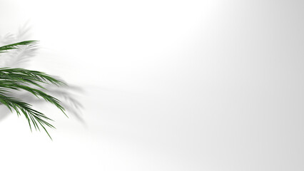 Fototapeta premium Blank clean white wallpaper wall with leaf shadow for luxury product display, interior design decoration background 3D rendering.