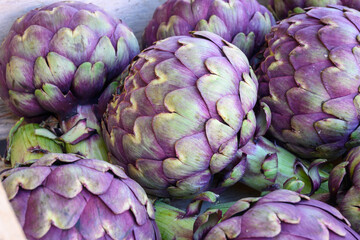 Big purple globe artichokes heads vegetables on farmers market in Brittany, France